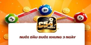 Đầu Đuôi Khung 3 Ngày