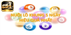 Lô Kép Khung 5 Ngày